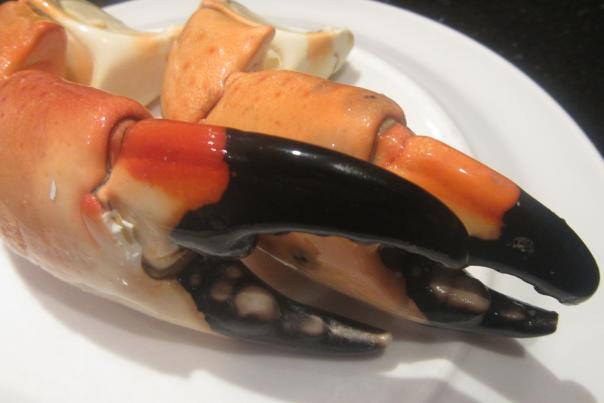 Stone Crab Claws on a white plate