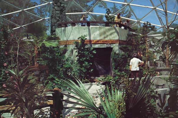 A group of people stand within a zoo rainforest under a glass dome
