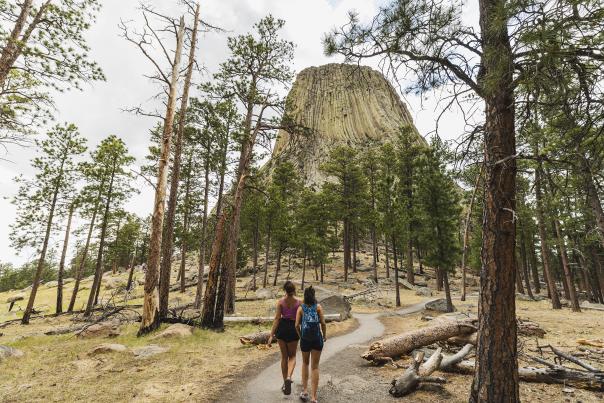 Two hikers walk along a paved trail toward Devils Tower National Monument in northeastern Wyoming. Towering above a forest of pine trees, the distinctive rock formation rises prominently against the sky, highlighting one of Wyoming’s most recognizable natural landmarks.