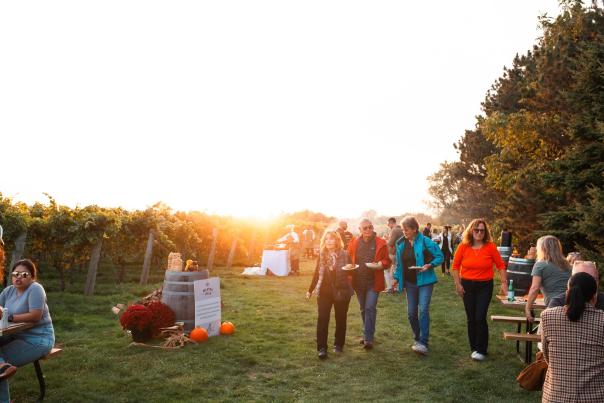 Group walking through vineyard in the fall.
