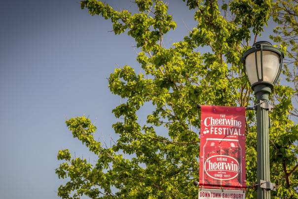 Cheerwine flag on light pole