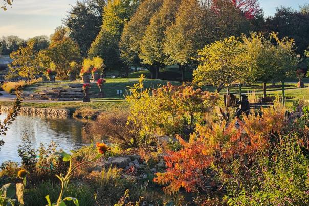 Arboretum Fall