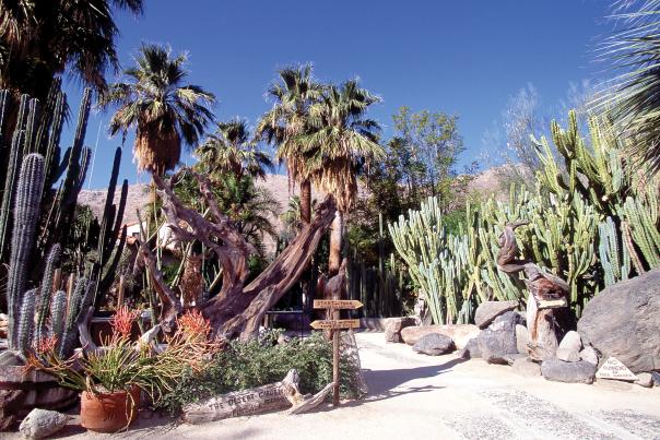 Moorton Botanical Garden
