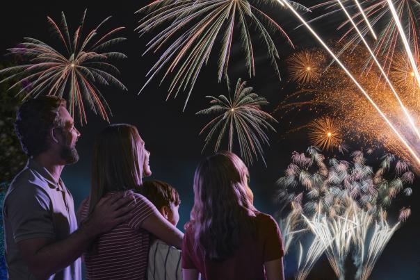 A family watching a fireworks show over Orlando.