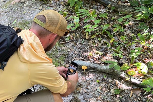 A man taking a photo of a mushroom on a hike in the Upper Peninsula of Michigan