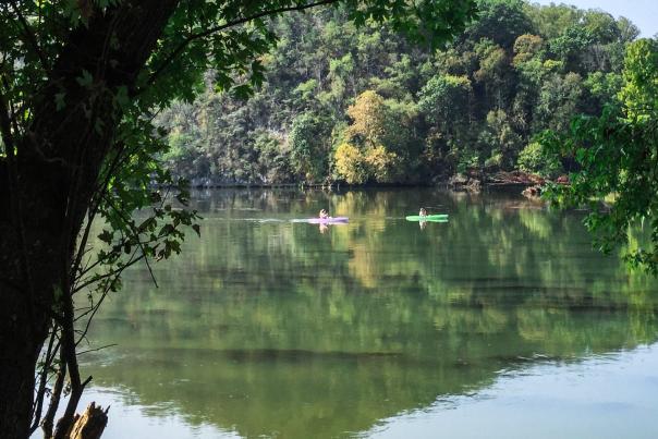 Kayakers enjoy the quiet calm of nature as the paddle along the Tennessee River