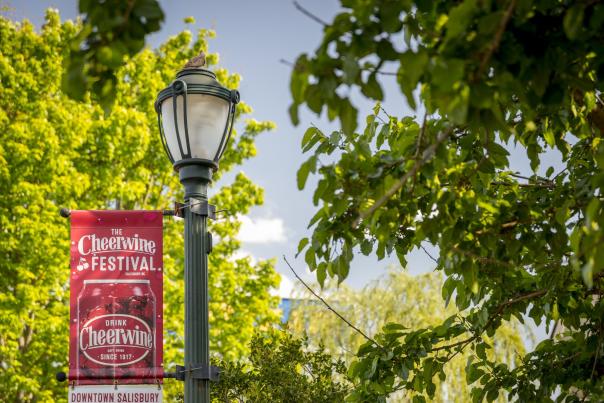 Cheerwine Festival banner on lamp post