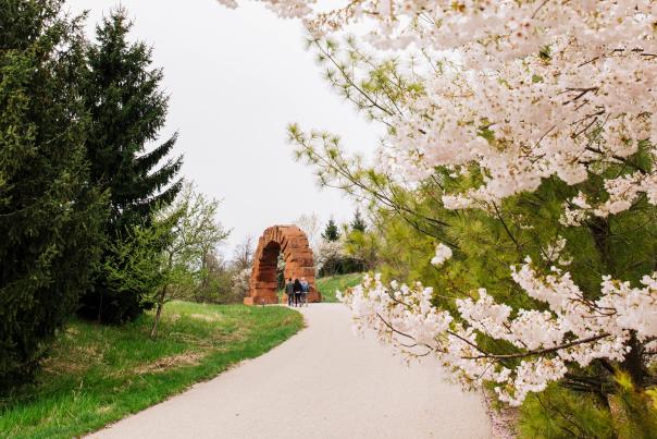 Cherry blossoms at the Frederik Meijer Gardens & Sculpture Park.