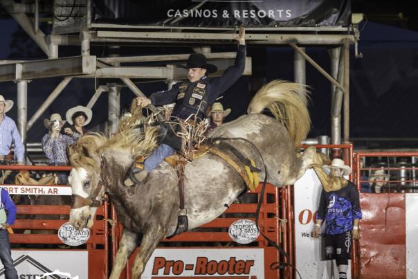 A multi-colored horse bucks while the rider attempts to hold on at the Old Fort Rodeo in Fort Smith, Arkansas.