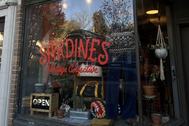 Storefront window for Sardines Vintage Collective with bold red lettering, featuring a curated display of vintage items including denim jeans, a duffel bag, plants, and home decor, with an illuminated “Open” sign.