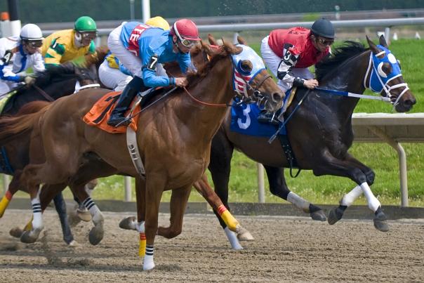 Casino at Delaware Park