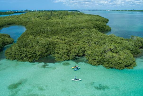 Aerial of Kayakers - Punta Gorda/Englewood Beach