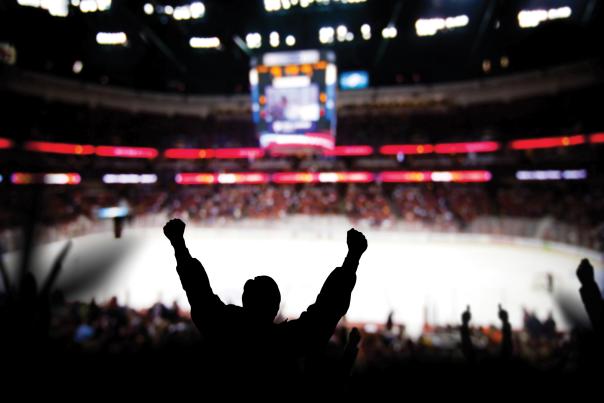 fans celebrating at a hockey game