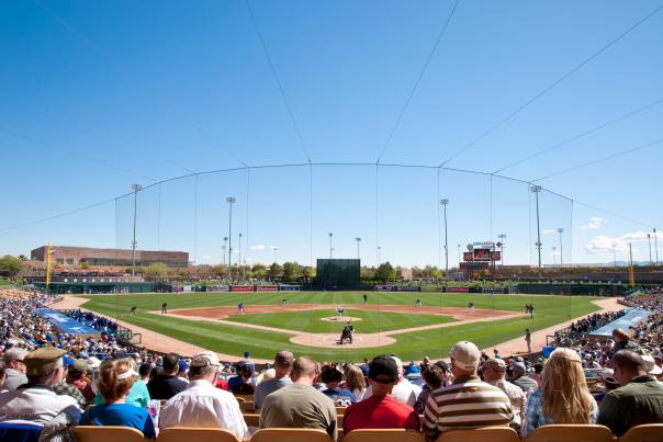 Fans watching spring training baseball
