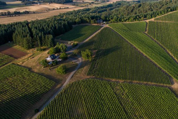 Walnut Ridge Winery in the Willamette Valley