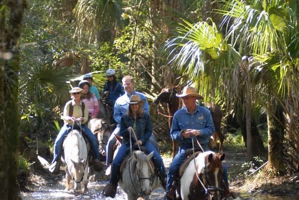 Florida Ecosafaris Horseback Safari Bull Creek Crossing