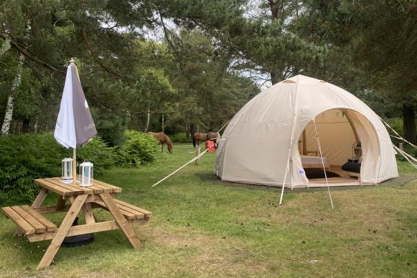 Glamping - Camping New Forest blog