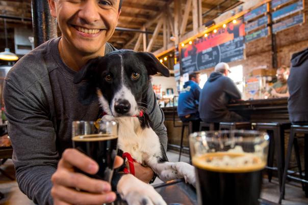 Beers and Dog