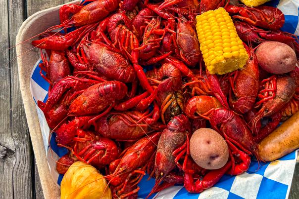 Bayou Boil N Geaux Photo - 2025