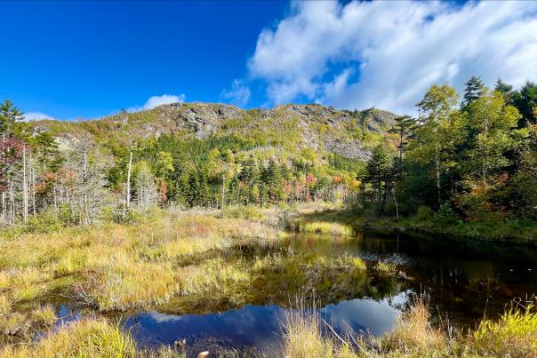 Kinsman Notch Marsh - Rocky Cliffs with Fall Foliage and Water in Foreground