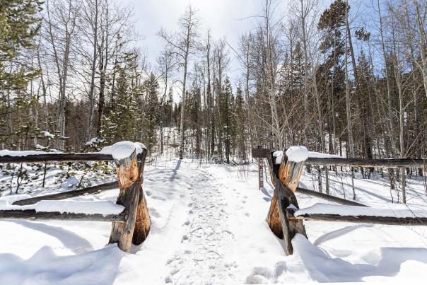 Wooden fence leading to a trail in winter