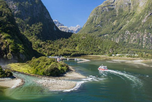 Milford Sound Scenic Cruise