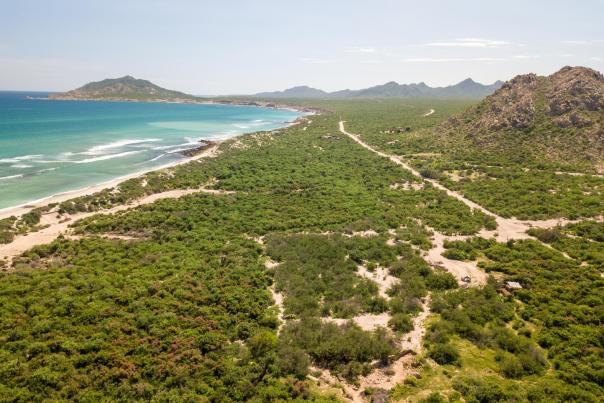 fotografía panorámica de Cabo Pulmo