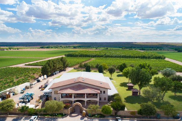 Aerial view of La Vina Winery and vineyard