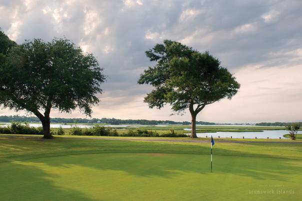 a golf course green with a view of marshland behind it