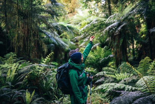 Two hikers on the Hollyford Track