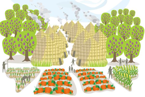 illustration of a Native American village with a garden and huts