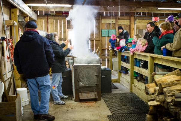Homemade Maple Syrup in New Carlisle