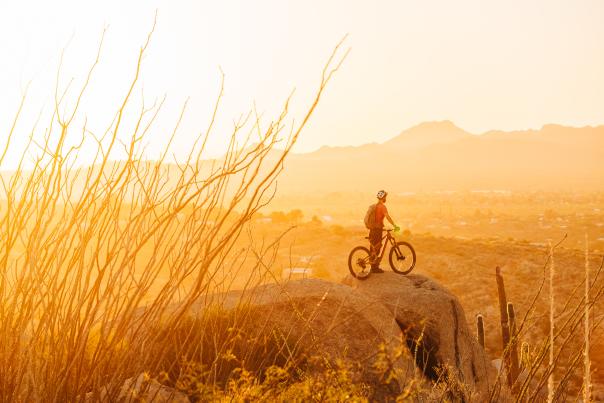 Mountain Biking in Tucson