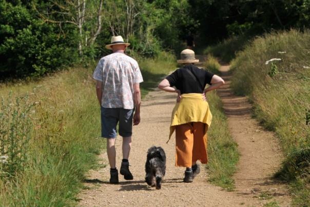 A man and a woman walking with a dog on a path on a green hillside