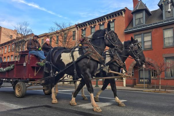 Horse Drawn Carriage At The Carlisle Winter Wonderland