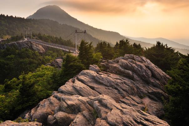 Swinging Bridge