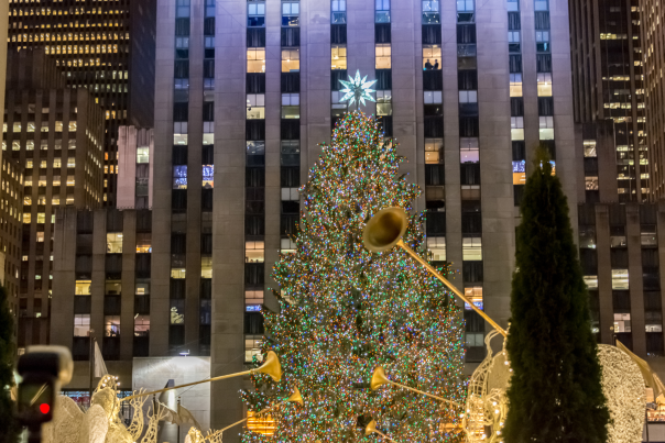 Rockefeller Christmas Tree Guide