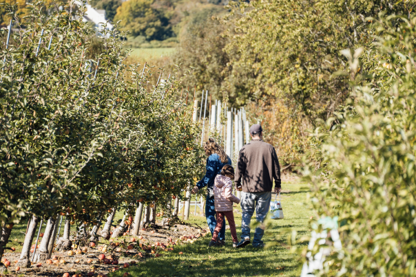 Sweet Berry Farm