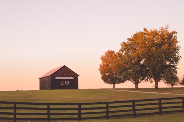 Fall Barn