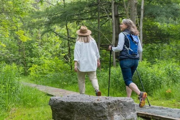Forest trail