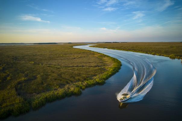 Boat driving through the marsh.