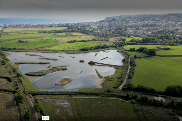 seaton wetlands