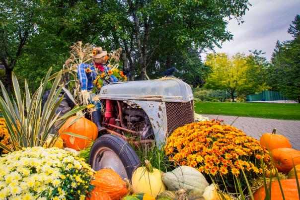Enjoy the fall season during festivals in the Poconos