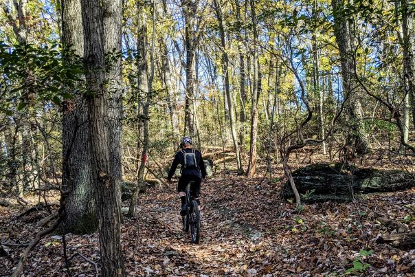 Person riding mountain bike through fall forest