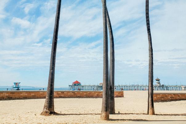 Palm & Pier View - horizontal snapshot