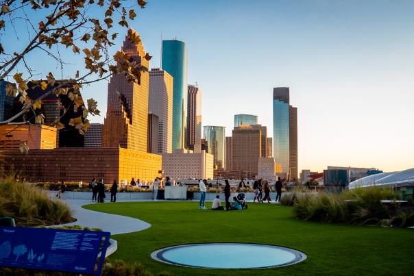 People In A Houston Park With The City In The Background.