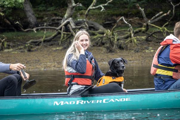 New Forest Activities - Dog in Canoe