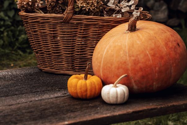 Fall Scene Basket and Pumpkin