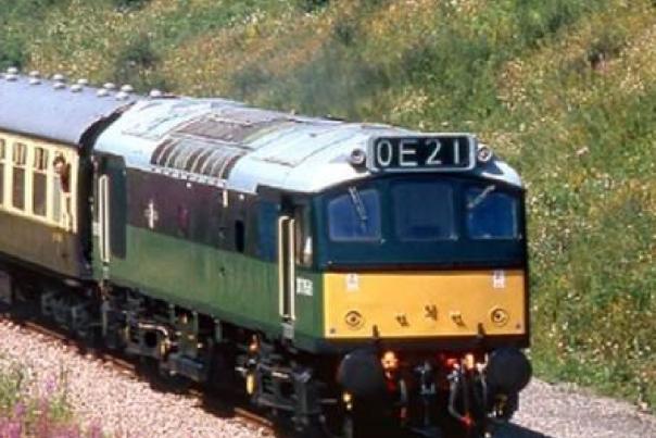 A diesel train driving along a track towards the camera with purple pink flowers alongside it