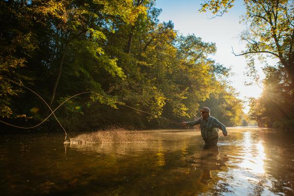 Man Fly-Fishing at Yellow Breeches Creek in Cumberland Valley